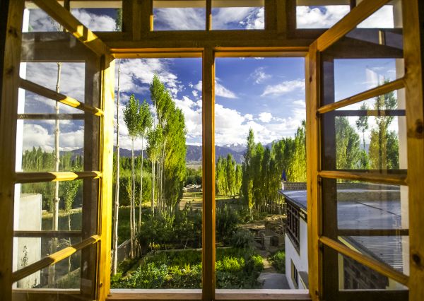 Cost of Wood Window Replacement in Chesterfield