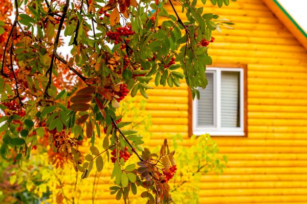 Cost of Garden Window Replacement in Chesterfield